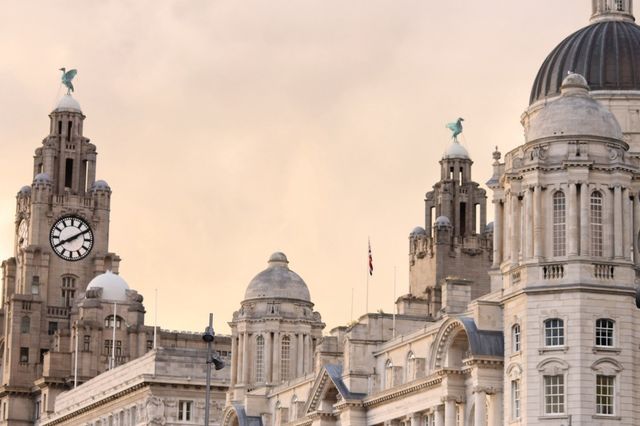 The Liver Birds 