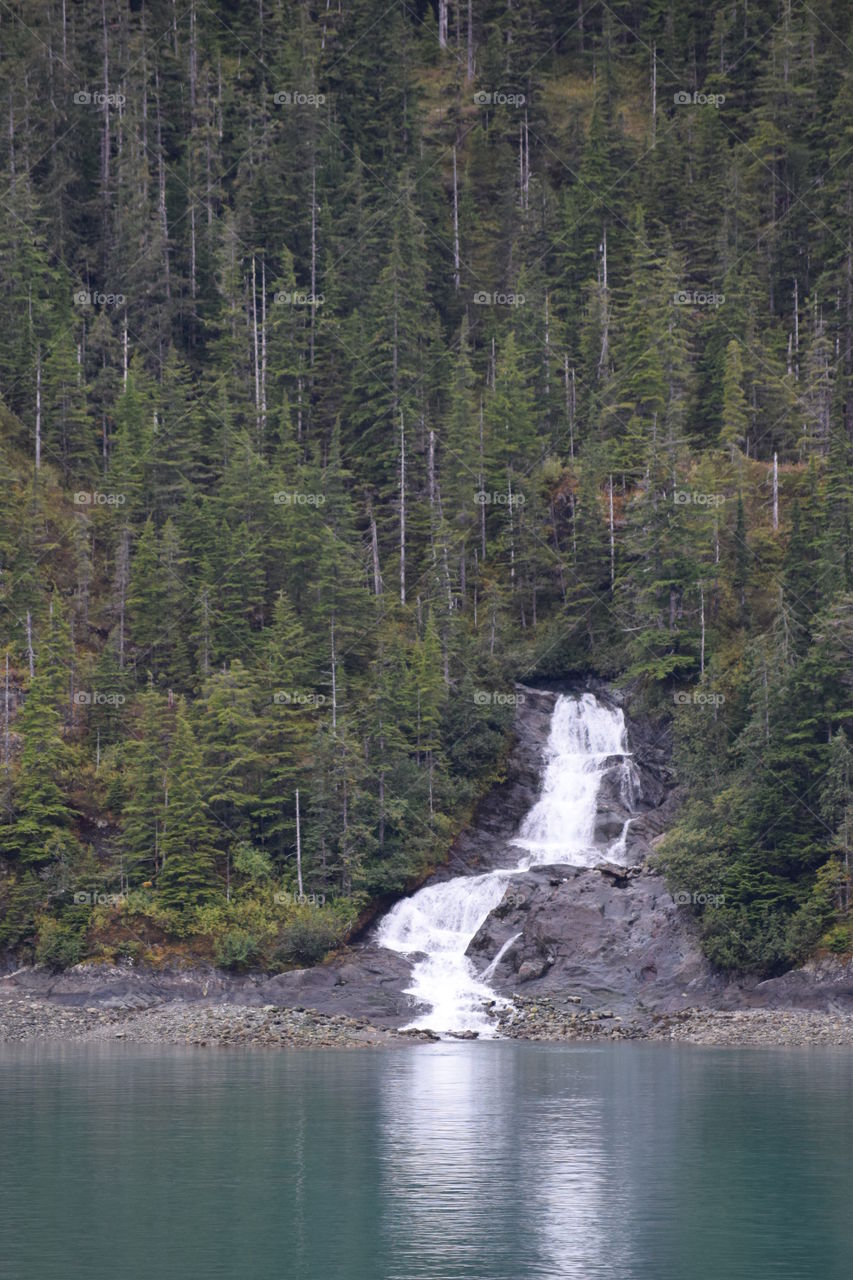 Forest and Waterfalls