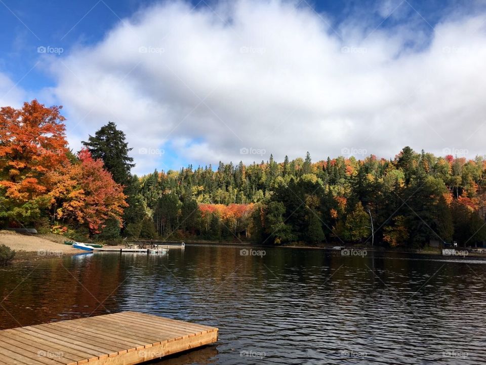 Mesmerizing Autumn of Canada 