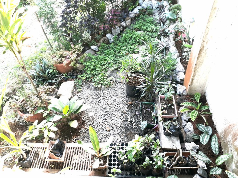 mini garden