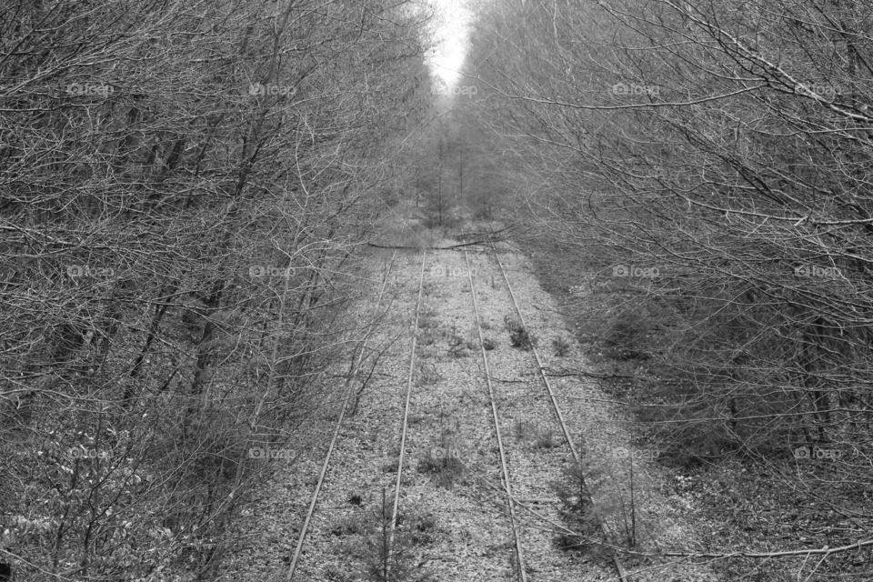 Das verlassene Gleis