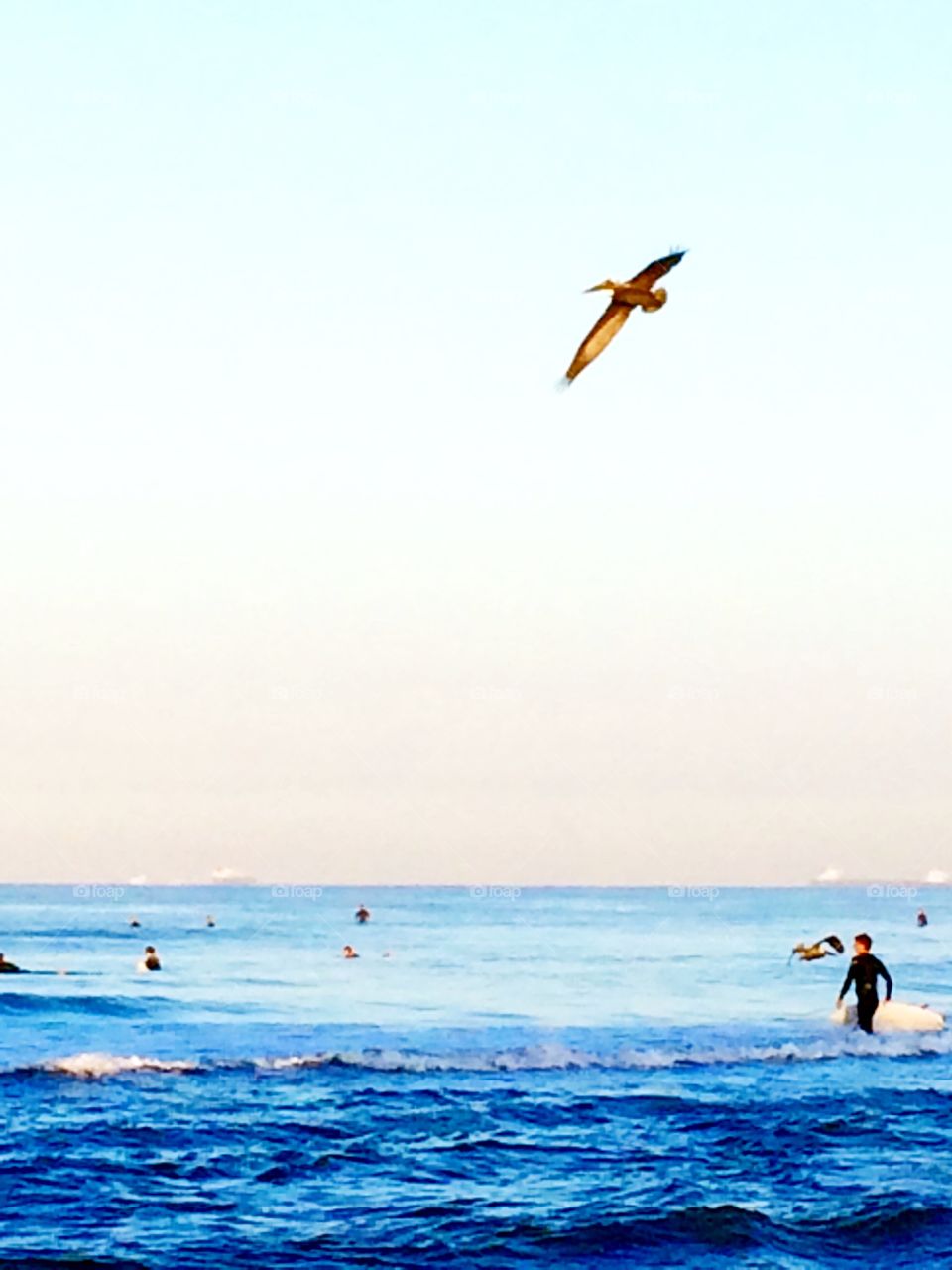 Flying high at sunrise. Flying high at Sunrise