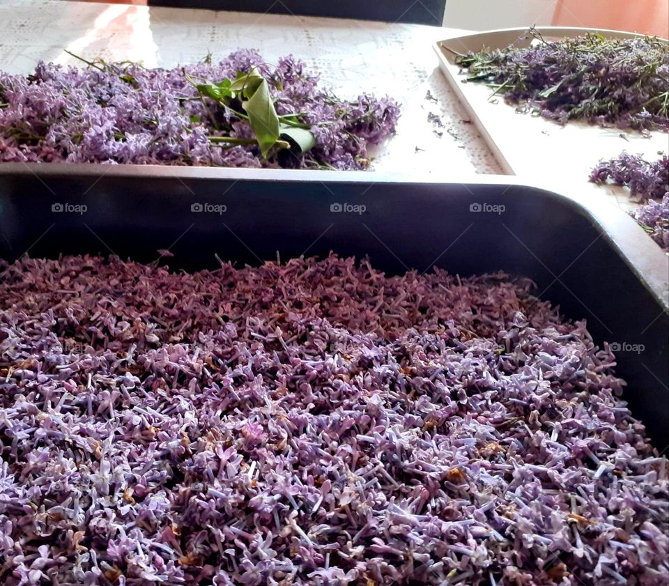 huge job - preparation of lilac jam
