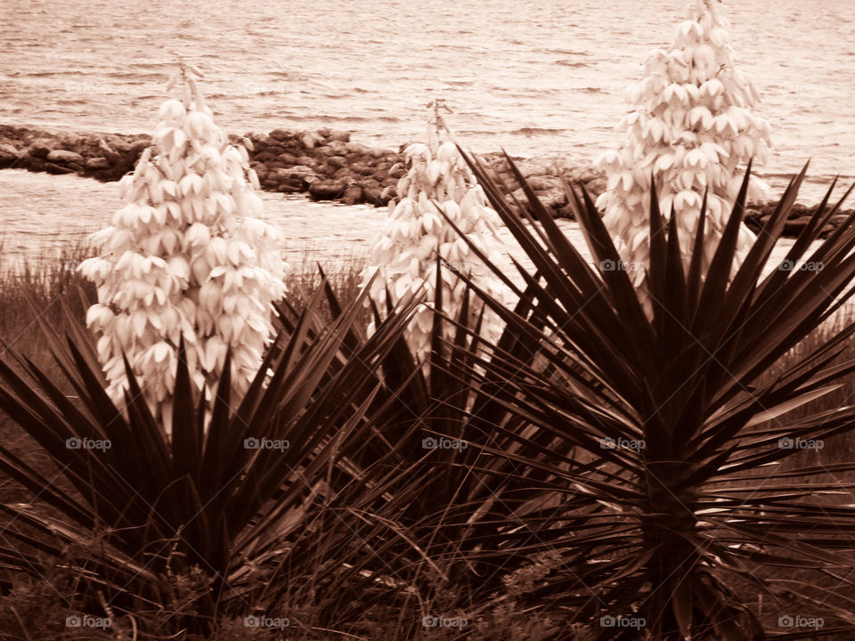 Treasures Come In Threes ( Series )