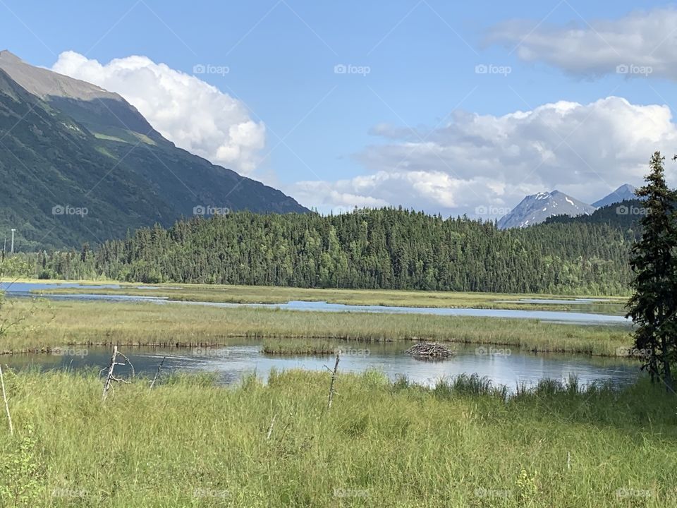 A marsh in Alaska