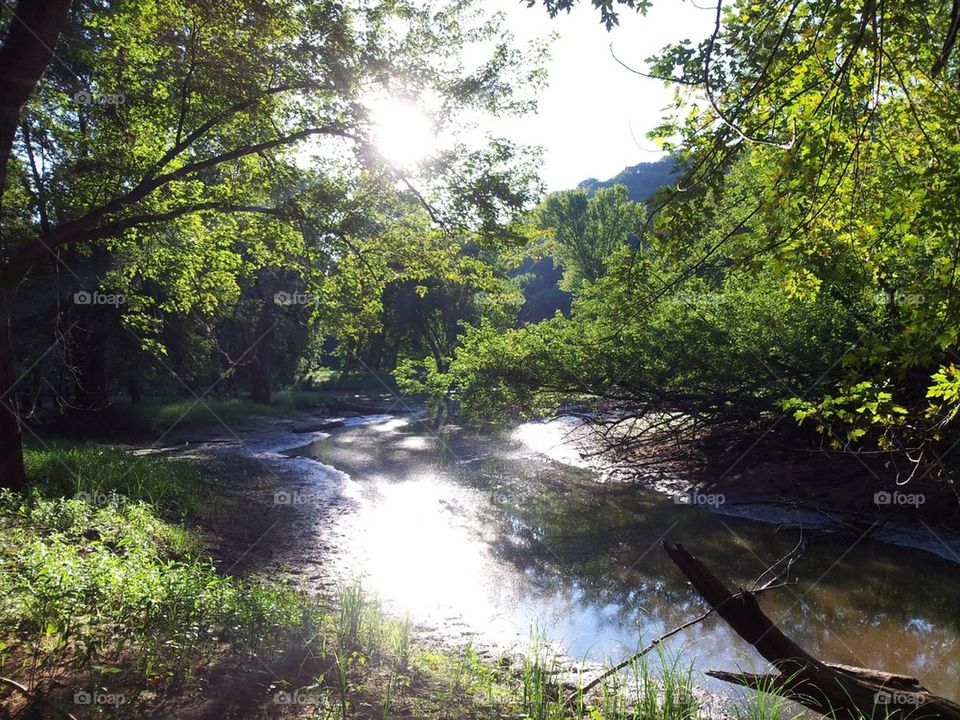 Good morning creek