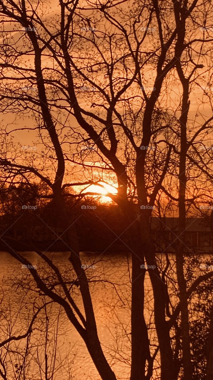 Sunset is falling the glorious trees that make this pic what it is. The calm reflective Lake waters with ripples due to strong winds along the colors of the evening. 