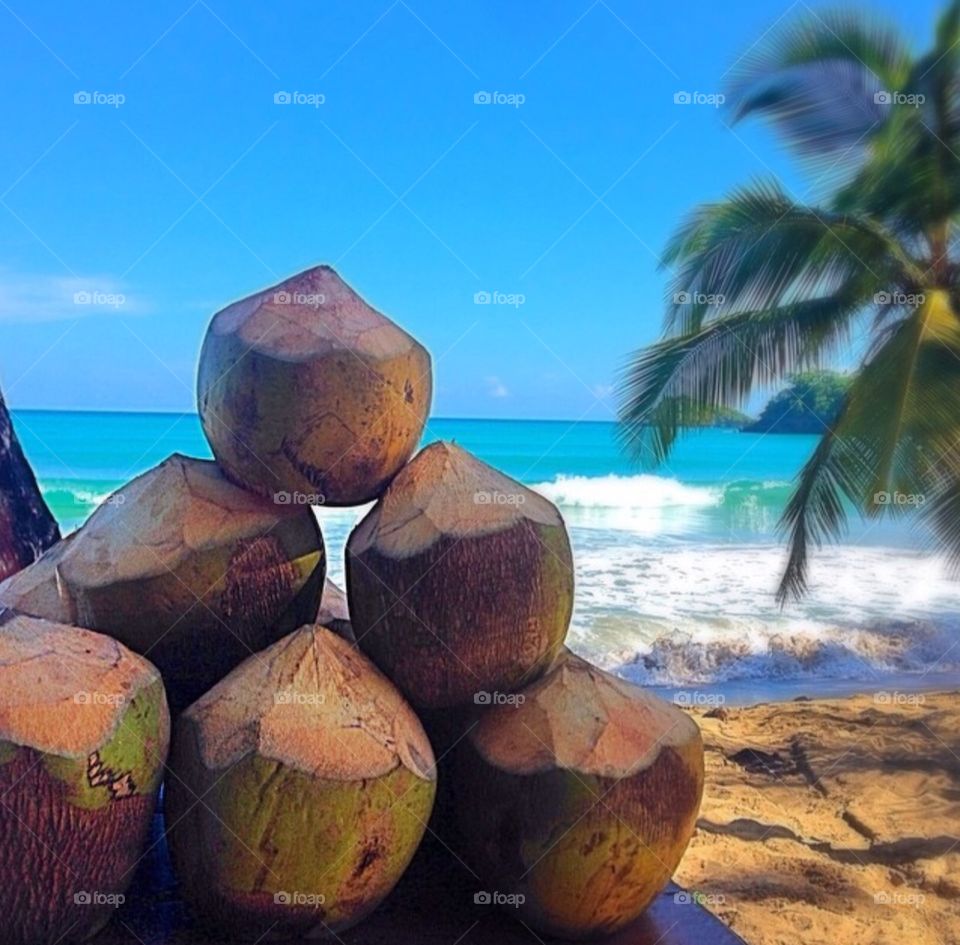 Tropical, Coconut, Beach, Exotic, Seashore