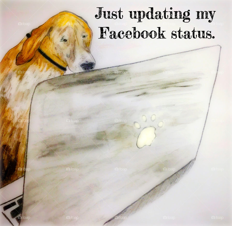 Dog on Facebook 
