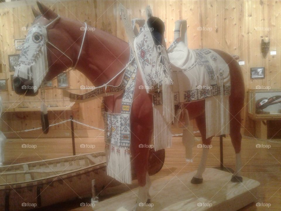 Lakota horse regalia