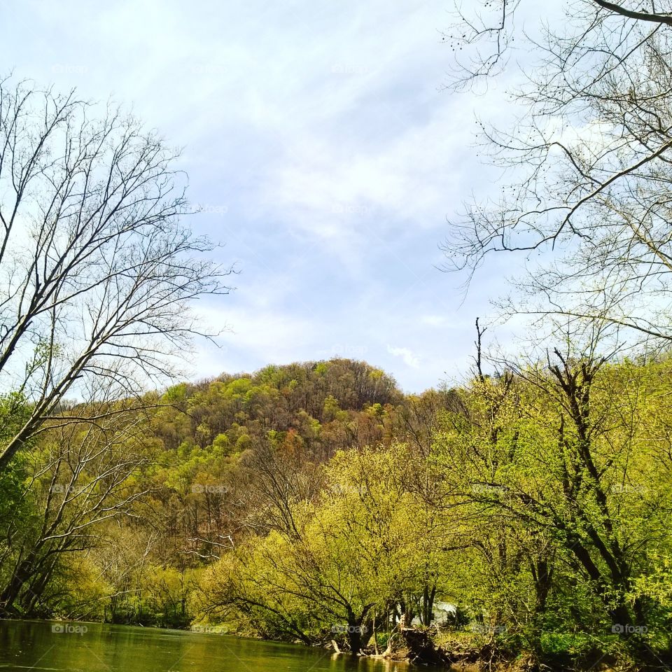 The View form the Holston River