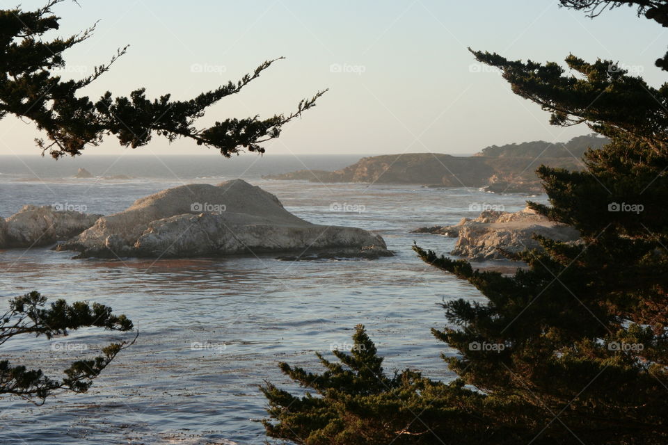 No Person, Water, Landscape, Tree, Sea