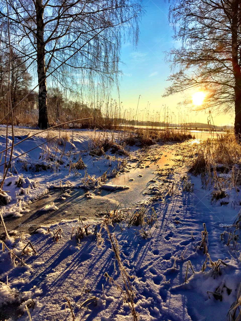 Winter landscape! 