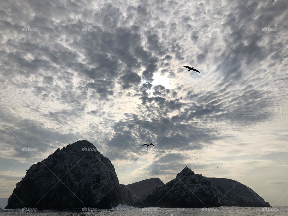 Birds and clouds being really cool on a boat in Mexico 