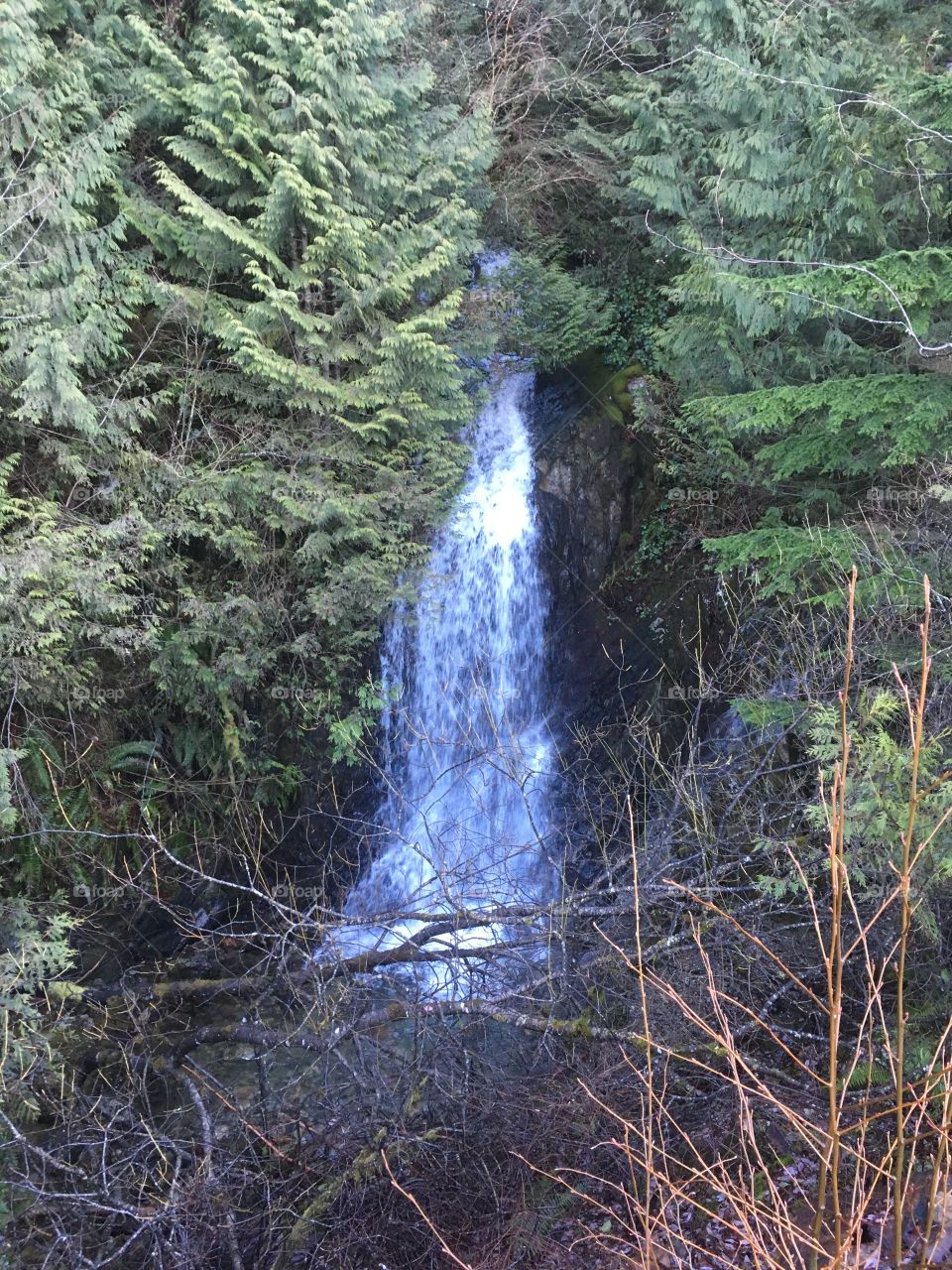 Winter Waterfall 