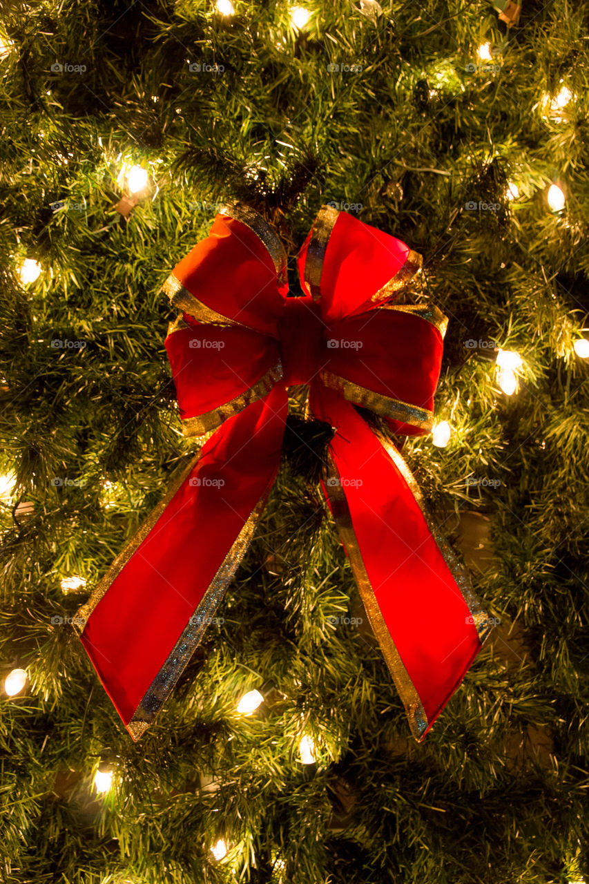 Red bow in Christmas tree surrounded by lights 
