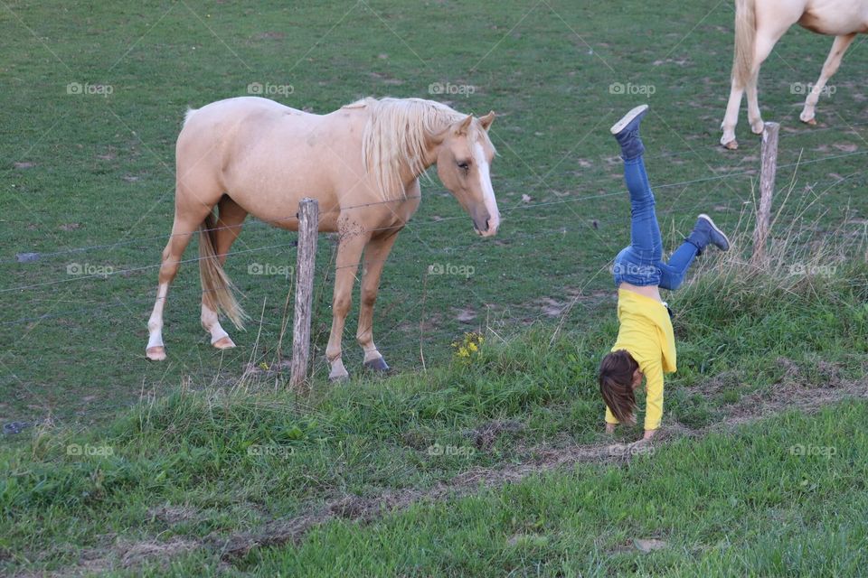 Child and horse