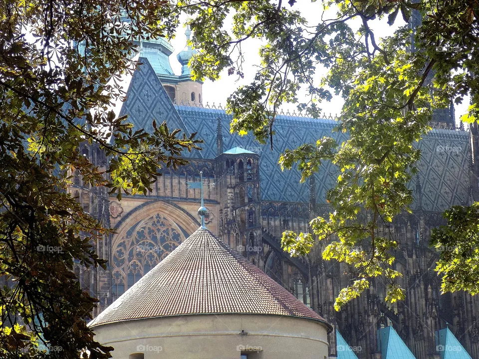 Cathedral⛪