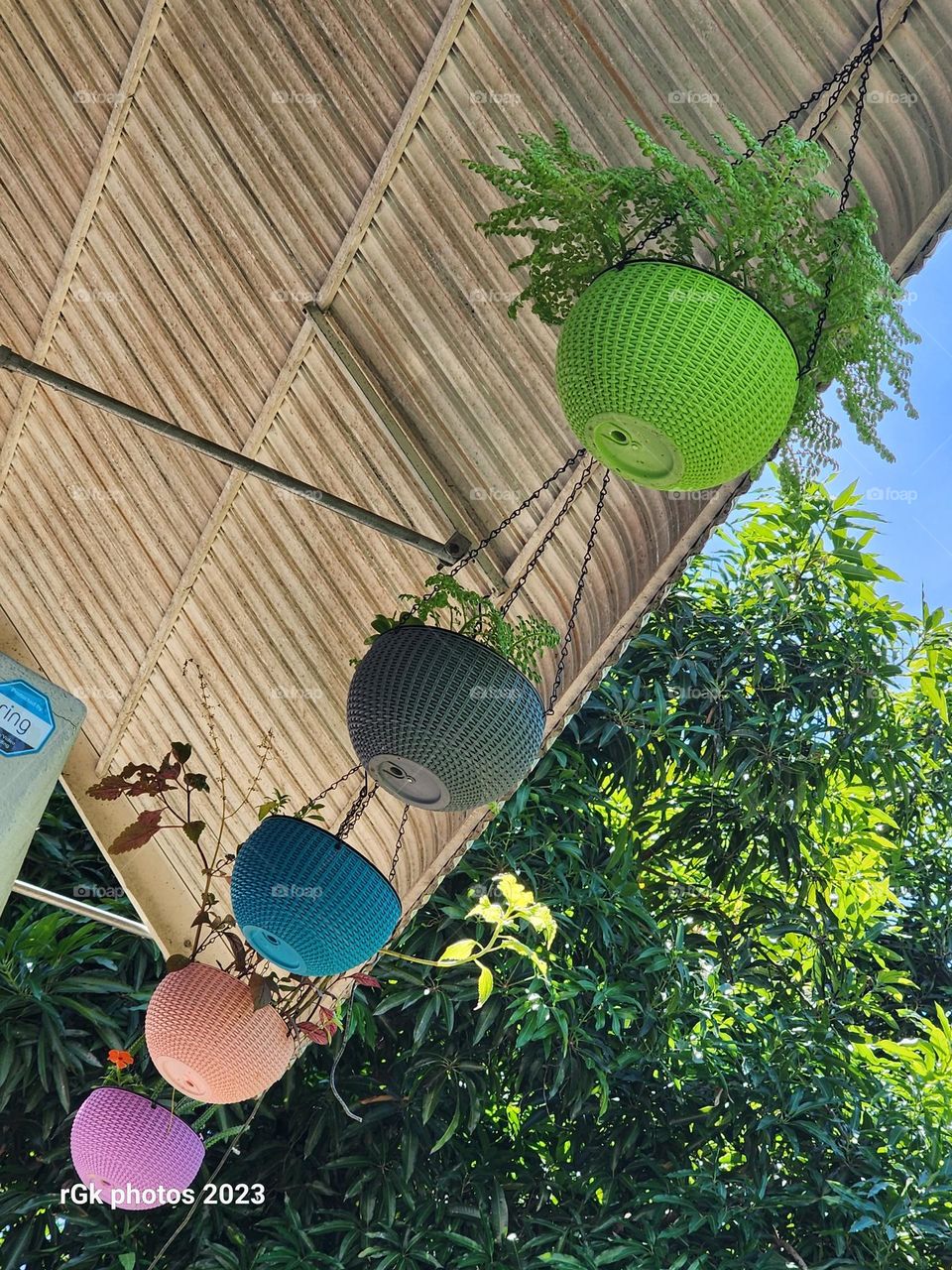 rows of hanging baskets