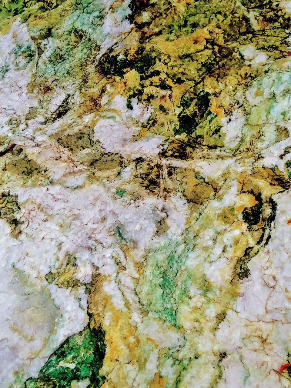 close up of mineral pattern on rock. tans yellow tones black green