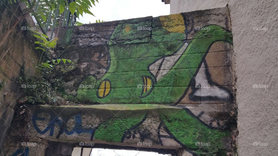 Street art octopus in Lyon