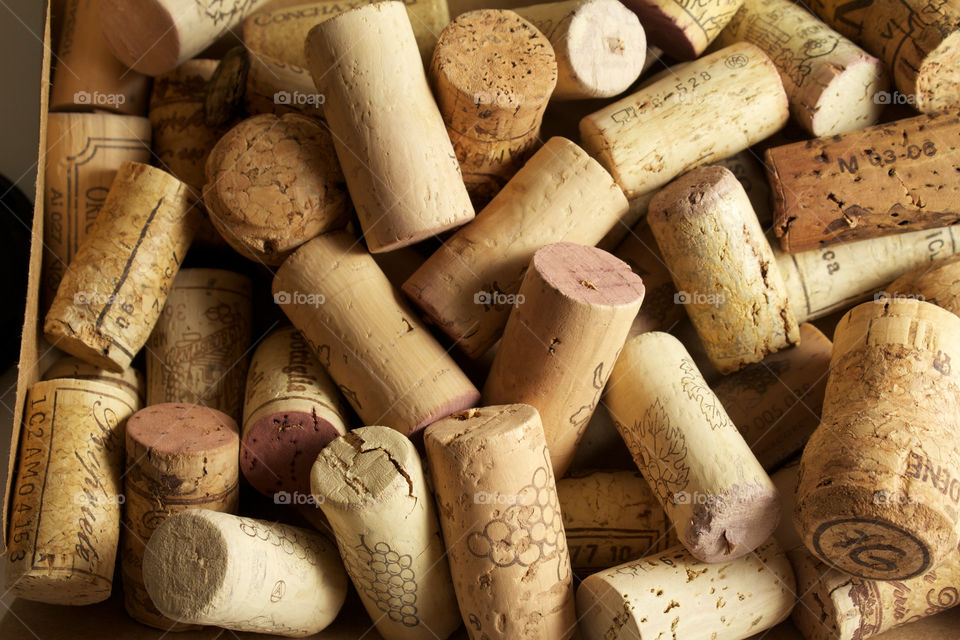 wine cork oak corkscrew by shotmaker