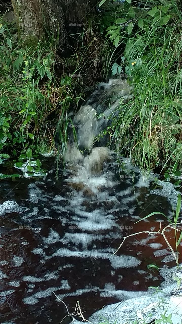 Water running into a dirt from a pond that had overflowed