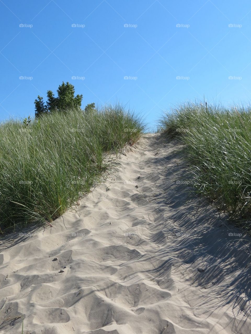 Sand dune