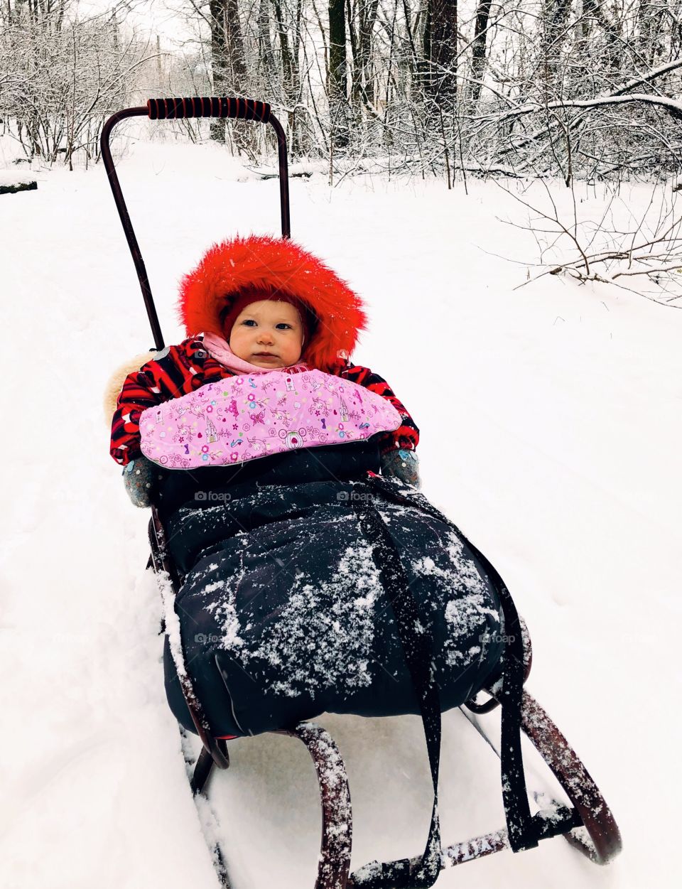 Walking in winter forest 