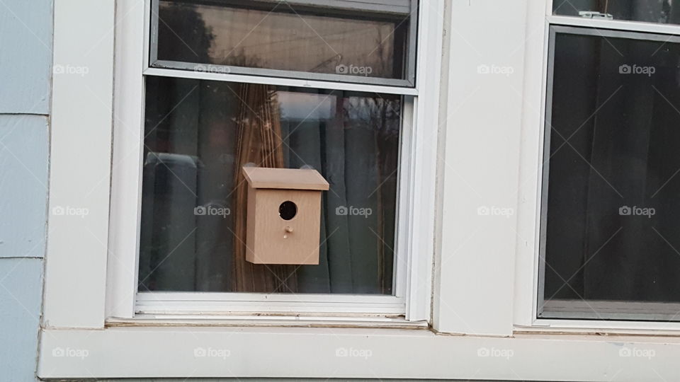birdhouse on a window