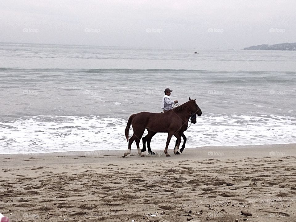 Horseback riding on the beach 