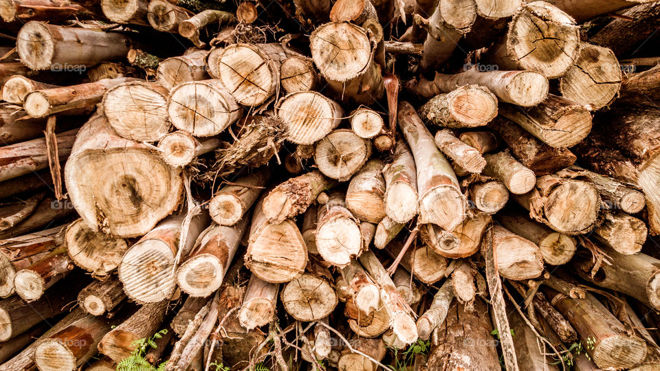 Full frame of firewood