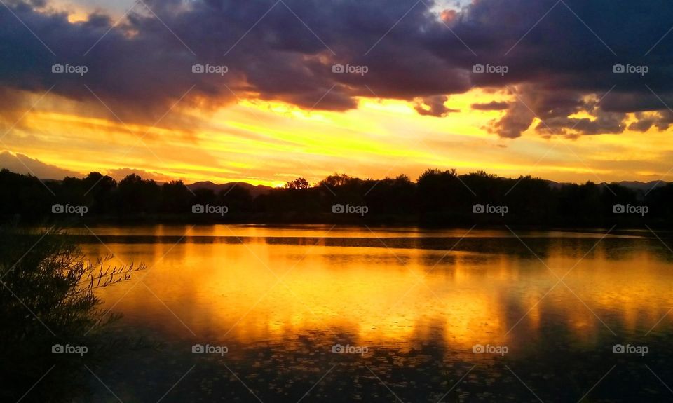 Beautiful golden sunset reflection on  West Lake in Prospect Park in Wheat Ridge, CO.