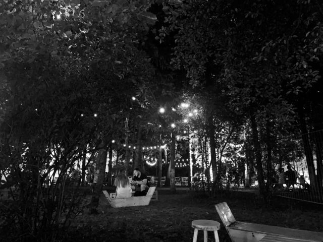 Lights in the park