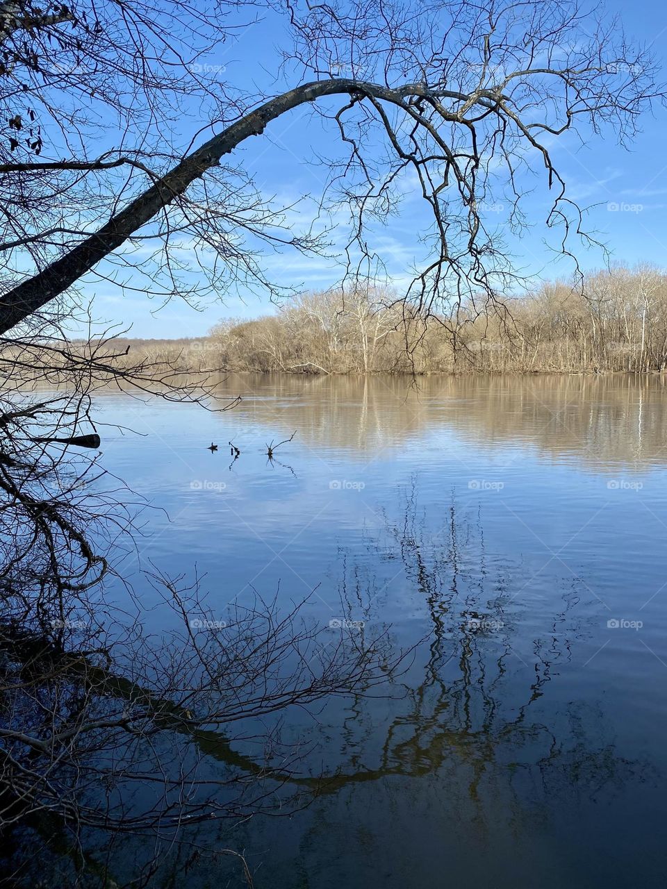 Reflections in the calm surface of a river