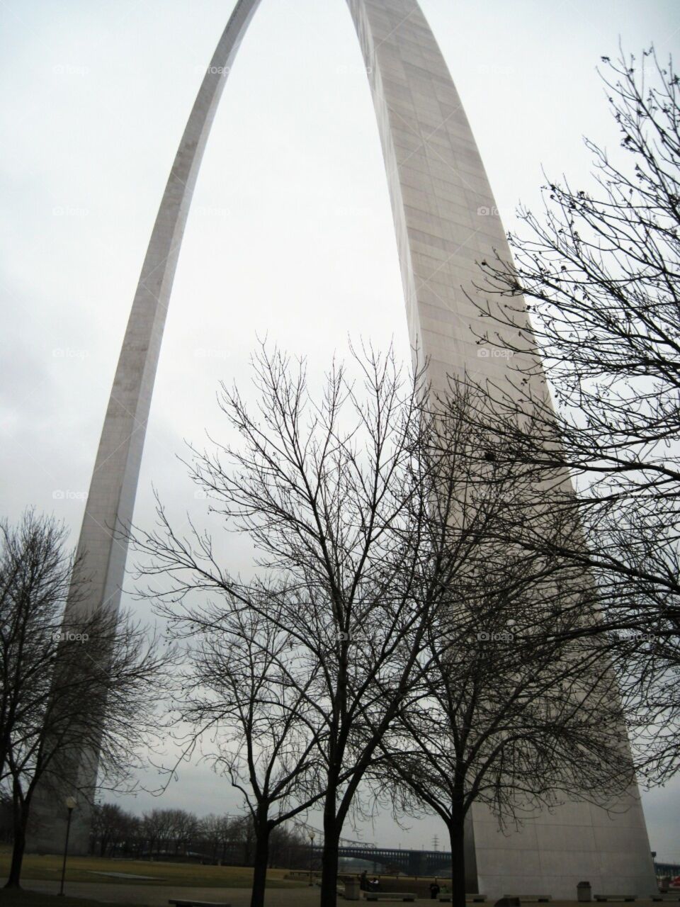 St Louis