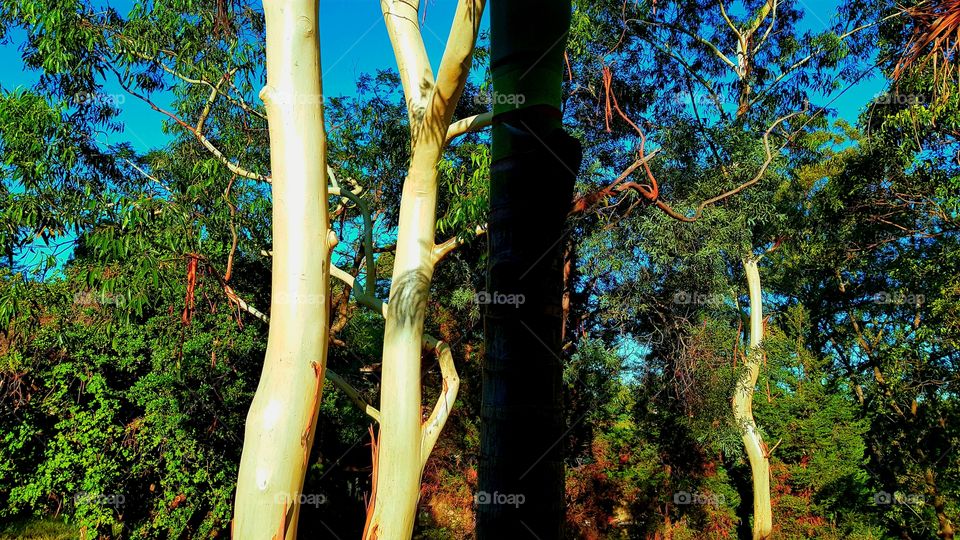 View from our Balcony, the Hill