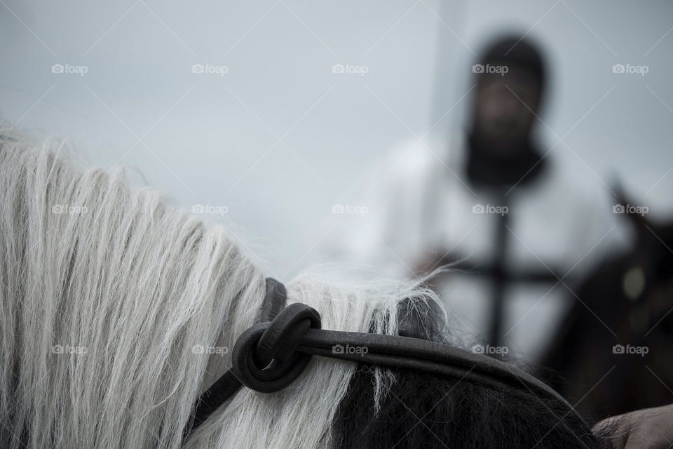 horse bokeh knight knot by jensryden