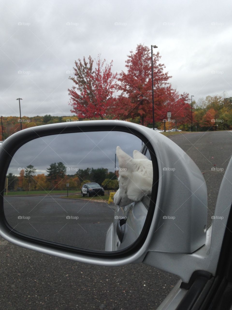 Happy to be with you commute 