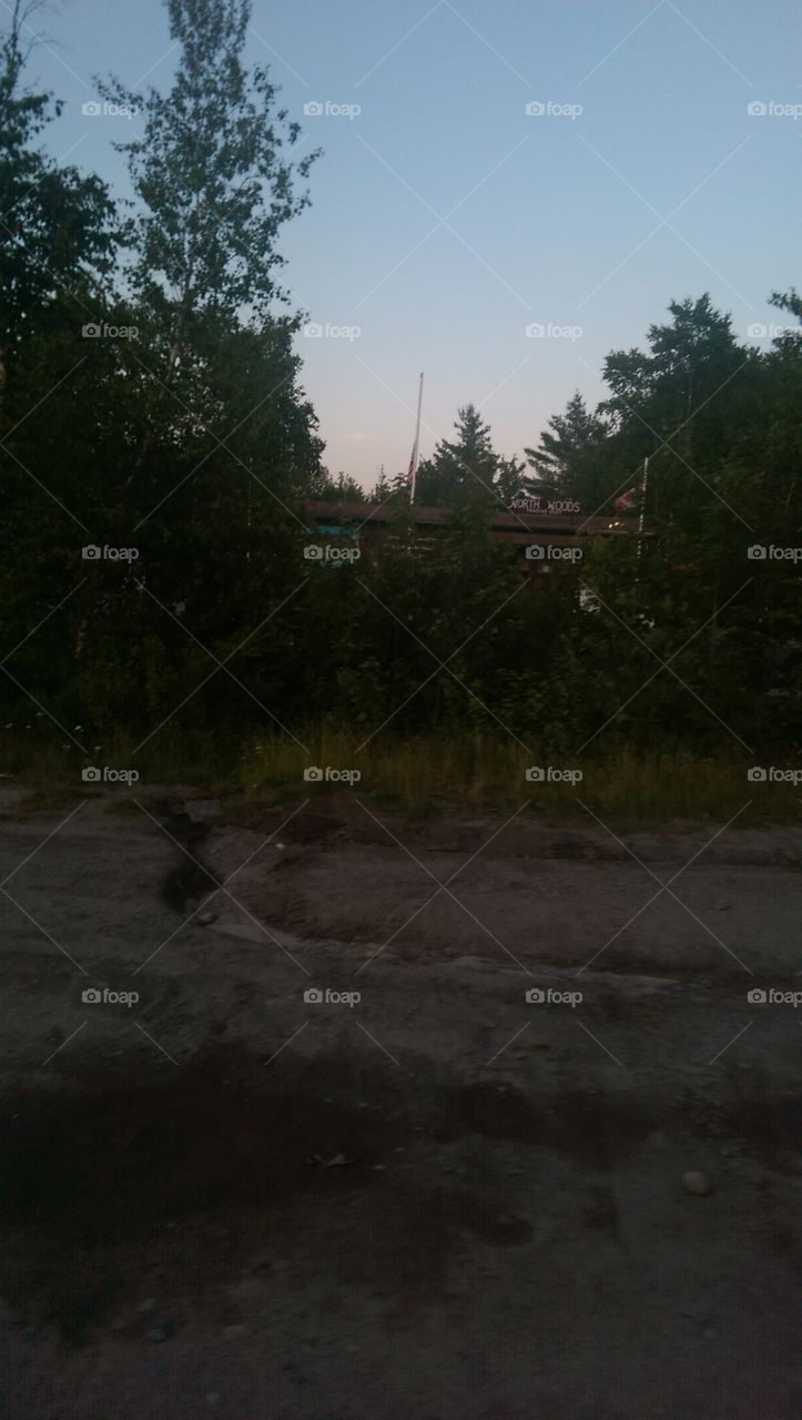 No Person, Landscape, Calamity, Tree, Outdoors