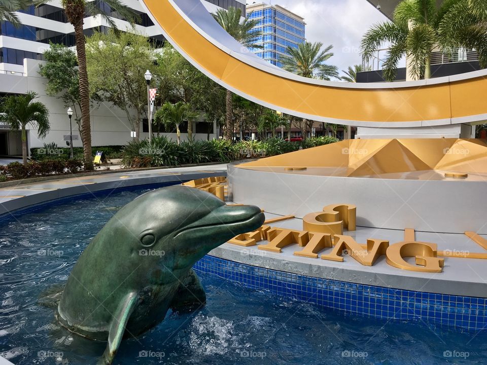 Sundial dolphin 🐬 saying hello