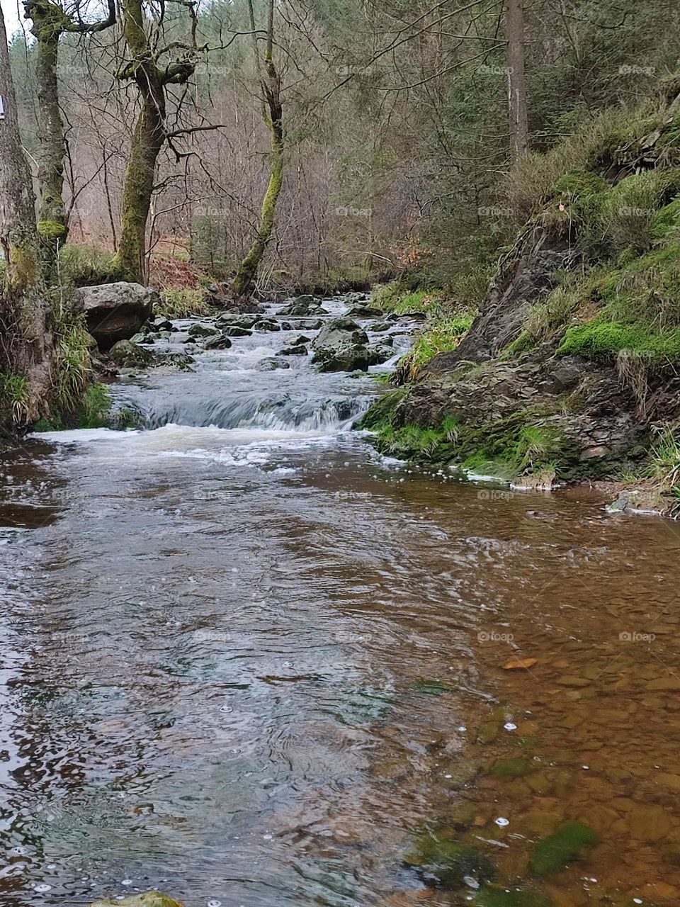 Walk in the woods, Bayehon waterfall