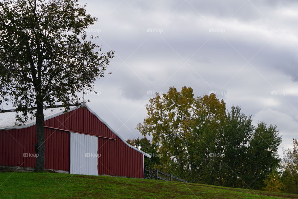 A barn and some trees. 