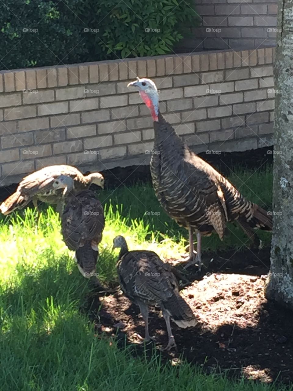 Outside our office in the middle of town