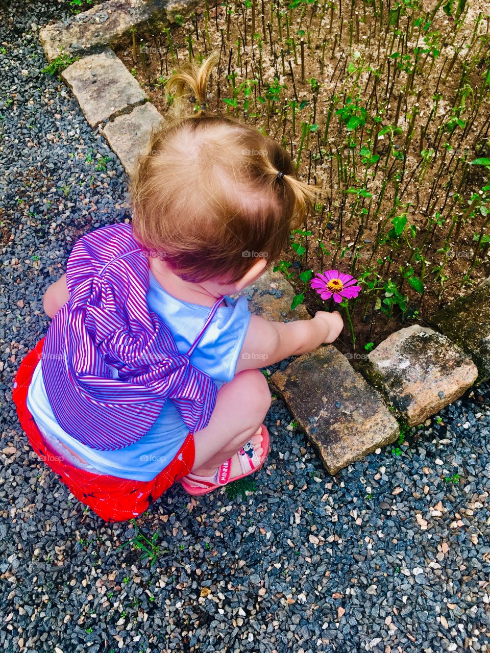 🇧🇷Flores do Brasil, sendo muito bem cuidadas pela bebê (minha filha). Viva a flora brasileira!
🇺🇸Flowers from Brazil, being very well looked after by the baby (my daughter). Long live the Brazilian flora!