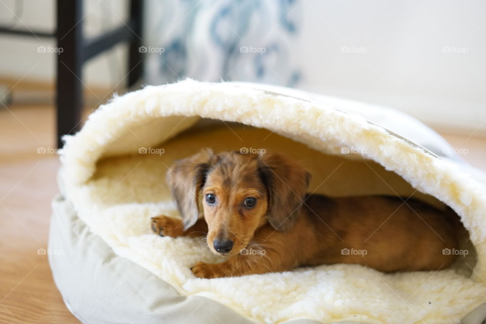 Trying out my new bed, this thing is comfy. 