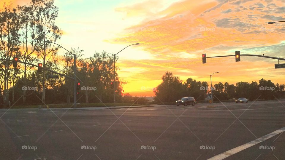 Road, Evening, Tree, Light, Travel