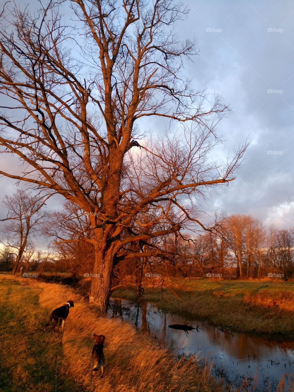 polish nature late summer sunset light