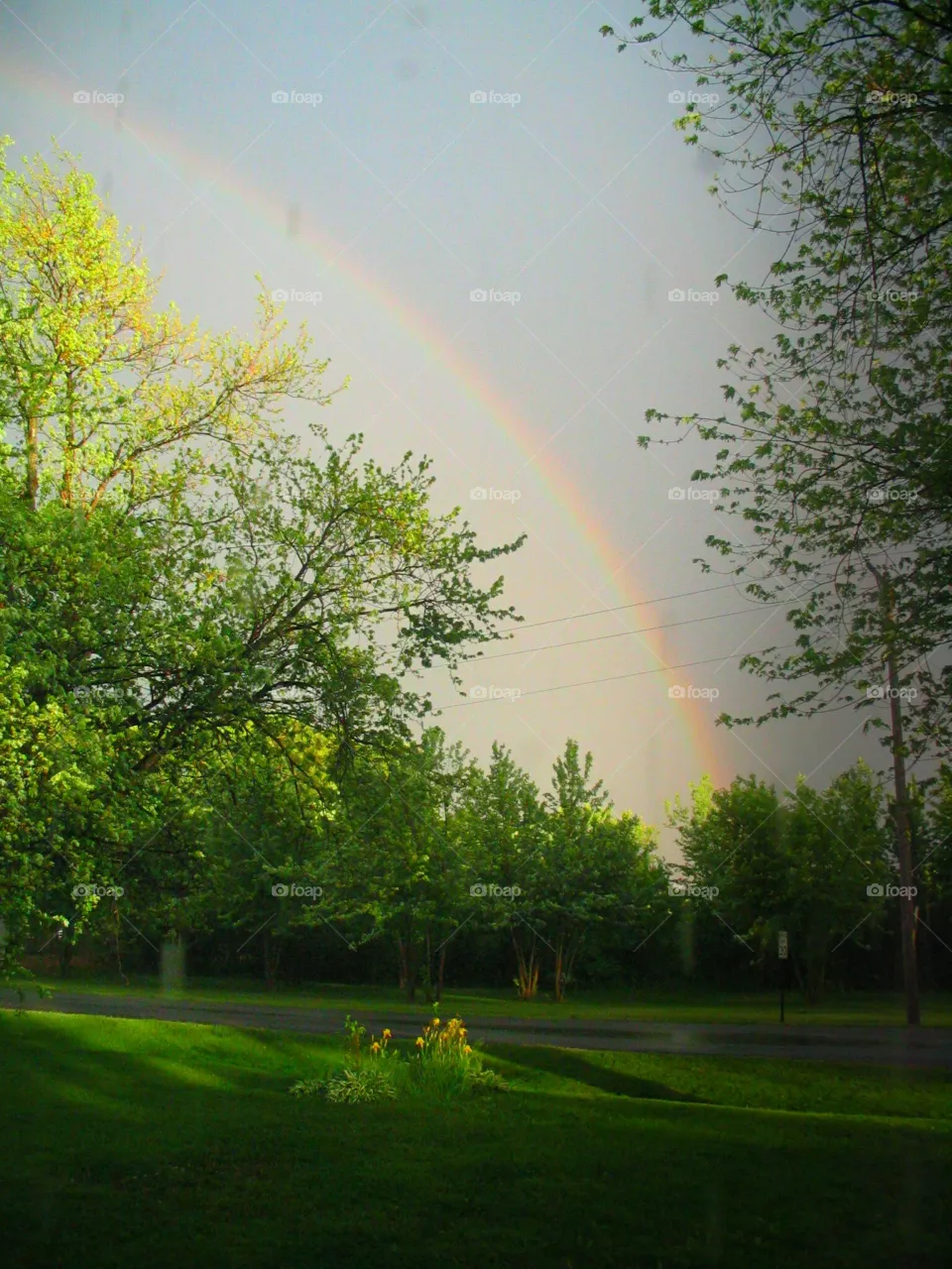 Rainbow