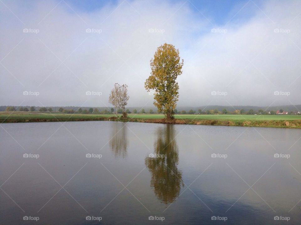 North Bavarian trees